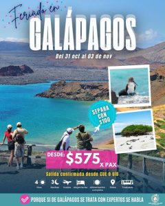 Promo Que Gara Viajar-image